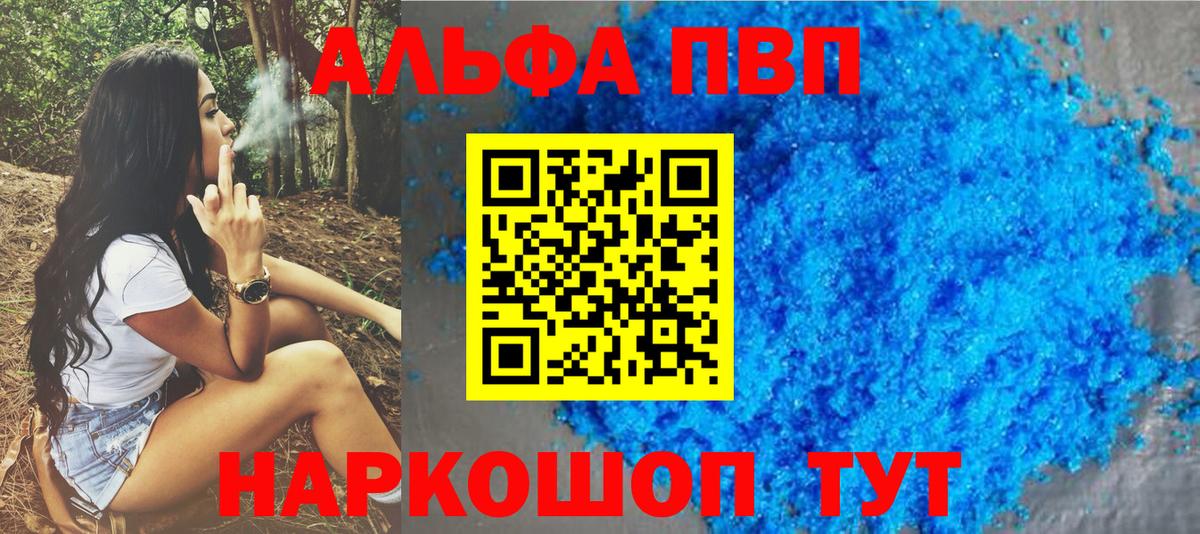 A PVP СК Санкт-Петербург